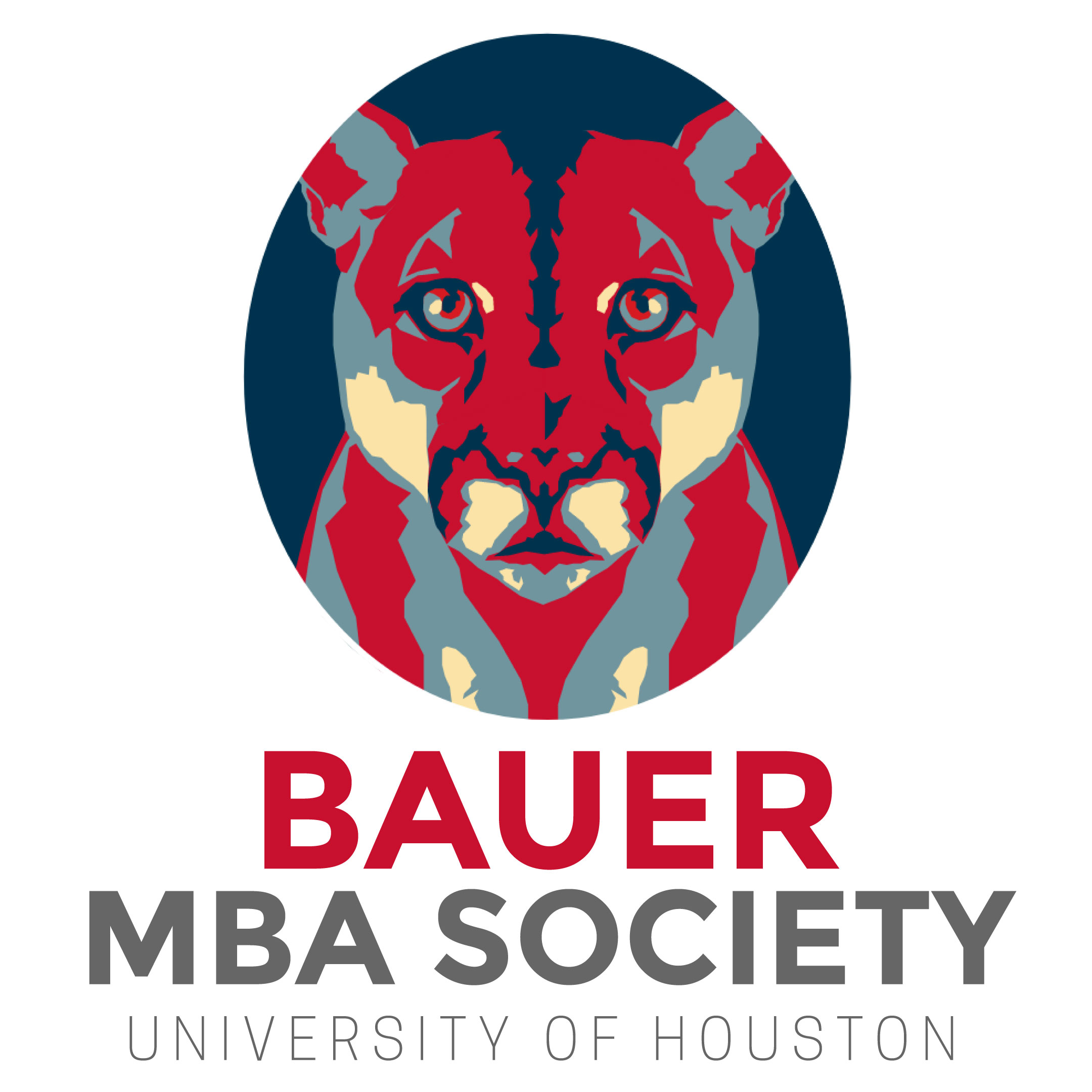 Bauer MBA Society (BMBAS)
